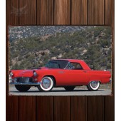 Металлическая табличка Ford Thunderbird 310